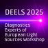 DEELS - Diagnostics Experts of European Light Sources logo